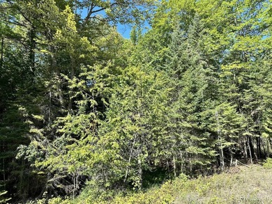 Spacious building site in Hemlock Views just west of Manistique - photo 5