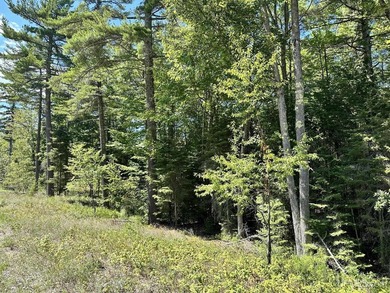Spacious building site in Hemlock Views just west of Manistique - photo 6