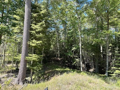 Spacious building site in Hemlock Views just west of Manistique - photo 8