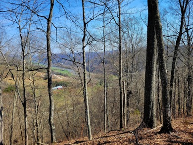 Clinch River - Hancock County Lot For Sale in Sneedville Tennessee