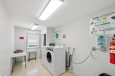 Welcome to this beautifully updated & move-in ready first floor - photo 13