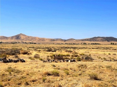 Soda Lake Acreage For Sale in California Valley California