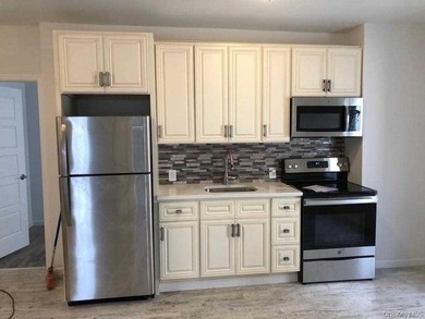 Newly Renovated Detached Two-Family Home in the Heart of - photo 6