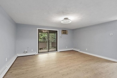 Stunning 2026 Renovation ~ Kitchen, Bath, Lighting, Windows - photo 13