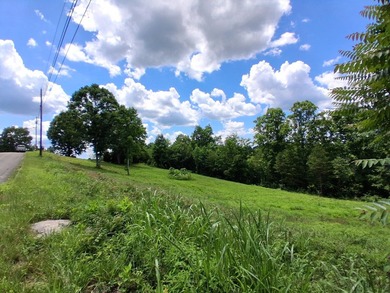 1.47 Acres in beautiful Mallard Baye off Lakeshore Dr. This lot - photo 4