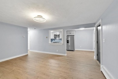 Stunning 2026 Renovation ~ Kitchen, Bath, Lighting, Windows - photo 14