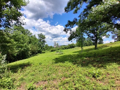 1.47 Acres in beautiful Mallard Baye off Lakeshore Dr. This lot - photo 5