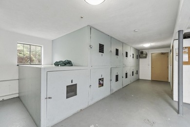 Stunning 2026 Renovation ~ Kitchen, Bath, Lighting, Windows - photo 25