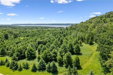 Lake Pepin  Acreage Sale Pending in Pepin Wisconsin