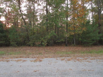 Lewis Smith Lake Lot For Sale in Jasper Alabama