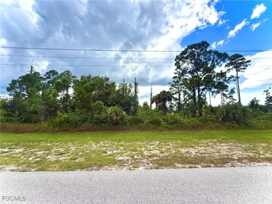 Lehigh Acres Area Lot For Sale in Lehigh Acres Florida