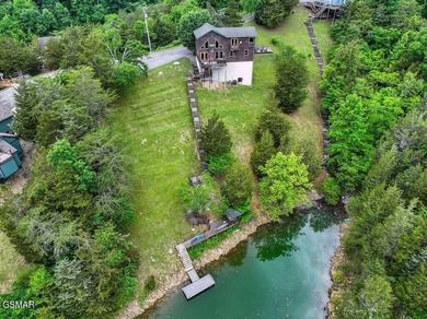 Lakefront on Douglas Lake, 10 miles to downtown Sevierville - photo 3