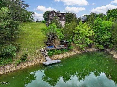 Lakefront on Douglas Lake, 10 miles to downtown Sevierville - photo 4