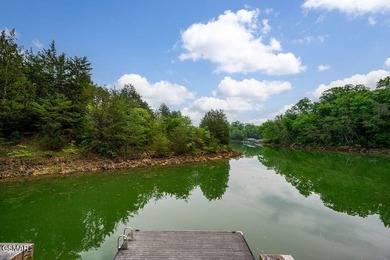 Lakefront on Douglas Lake, 10 miles to downtown Sevierville - photo 8