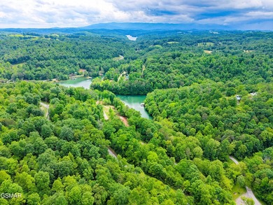 This 0.47 unrestricted lot in Rainbow Resort is ideal for those - photo 4