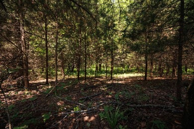 Escape to your own private piece of Kansas wilderness with this - photo 11