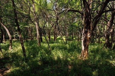 Escape to your own private piece of Kansas wilderness with this - photo 13