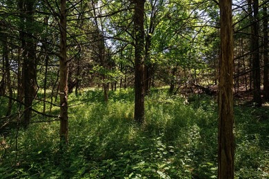 Escape to your own private piece of Kansas wilderness with this - photo 14