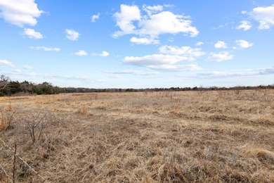 Hard to find larger tract in Pottsboro take a look around and - photo 15