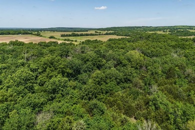 Escape to your own private piece of Kansas wilderness with this - photo 15
