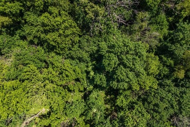 Escape to your own private piece of Kansas wilderness with this - photo 18