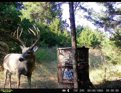 Escape to your own private piece of Kansas wilderness with this - photo 24