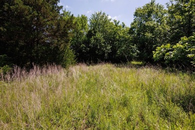 Escape to your own private piece of Kansas wilderness with this - photo 26