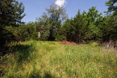 Escape to your own private piece of Kansas wilderness with this - photo 33