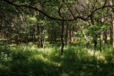 Escape to your own private piece of Kansas wilderness with this - photo 34