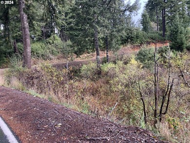 Here is a blank, 11 acre canvas for your dream home with - photo 4