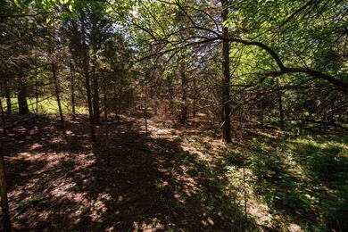 Escape to your own private piece of Kansas wilderness with this - photo 35
