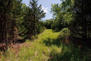 Escape to your own private piece of Kansas wilderness with this - photo 38