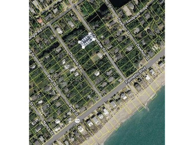 The Best Lot available on Edisto Beach with direct beach access - photo 1