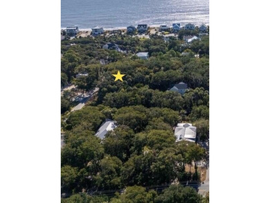 The Best Lot available on Edisto Beach with direct beach access - photo 3