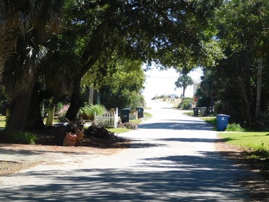 The Best Lot available on Edisto Beach with direct beach access - photo 4