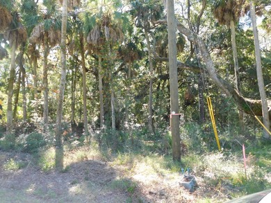 The Best Lot available on Edisto Beach with direct beach access - photo 8