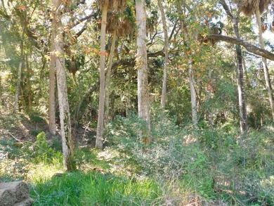 The Best Lot available on Edisto Beach with direct beach access - photo 9