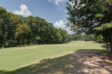Don't miss this rare opportunity to own a stunning residence - photo 49