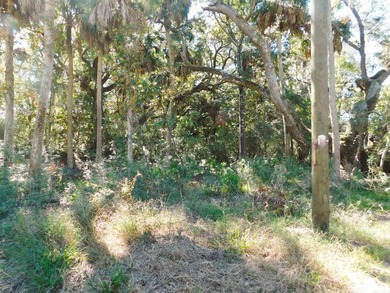 The Best Lot available on Edisto Beach with direct beach access - photo 10