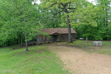 Lake Acreage For Sale in Sardis, Mississippi