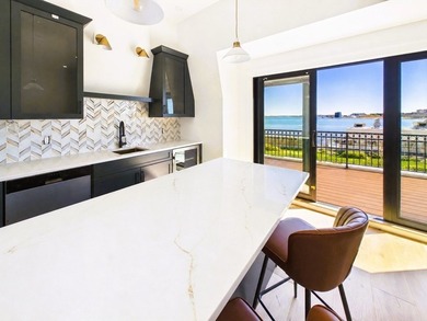 Steps from the Ocean. A rare South Boston luxury residence - photo 3