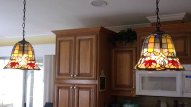 Like New 2017 Skyline Large Gorgeous Home, 1,568 sq. ft., open - photo 37