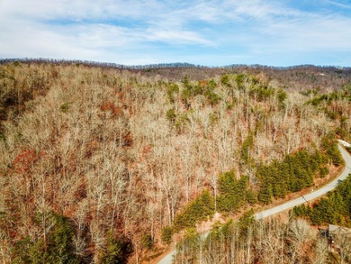 Norris Lake Acreage For Sale in New Tazewell Tennessee