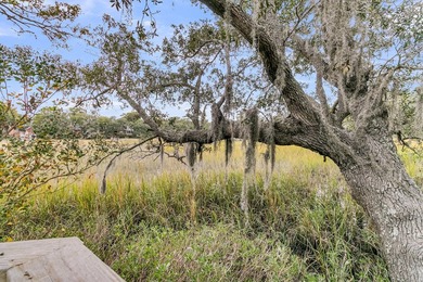 Incredible opportunity to own a unique piece of the Lowcountry - photo 45