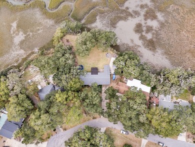 Incredible opportunity to own a unique piece of the Lowcountry - photo 48