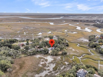 Incredible opportunity to own a unique piece of the Lowcountry - photo 49