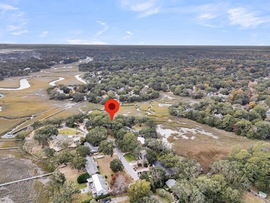 Incredible opportunity to own a unique piece of the Lowcountry - photo 50