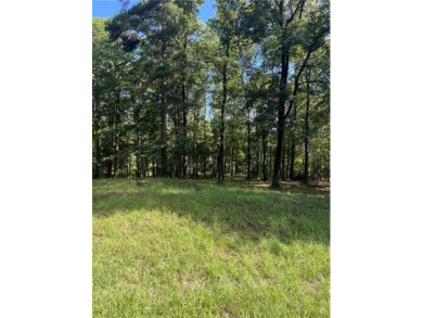 Lake Lot For Sale in Montgomery, Louisiana
