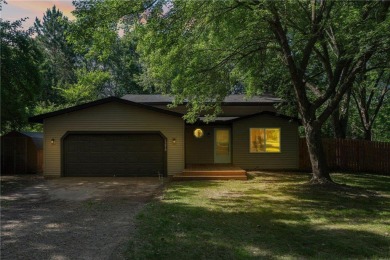 Lake Home For Sale in Big Lake Twp, Minnesota