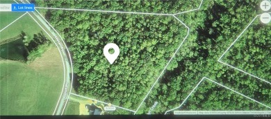 (private lake, pond, creek) Acreage For Sale in Bumpass Virginia